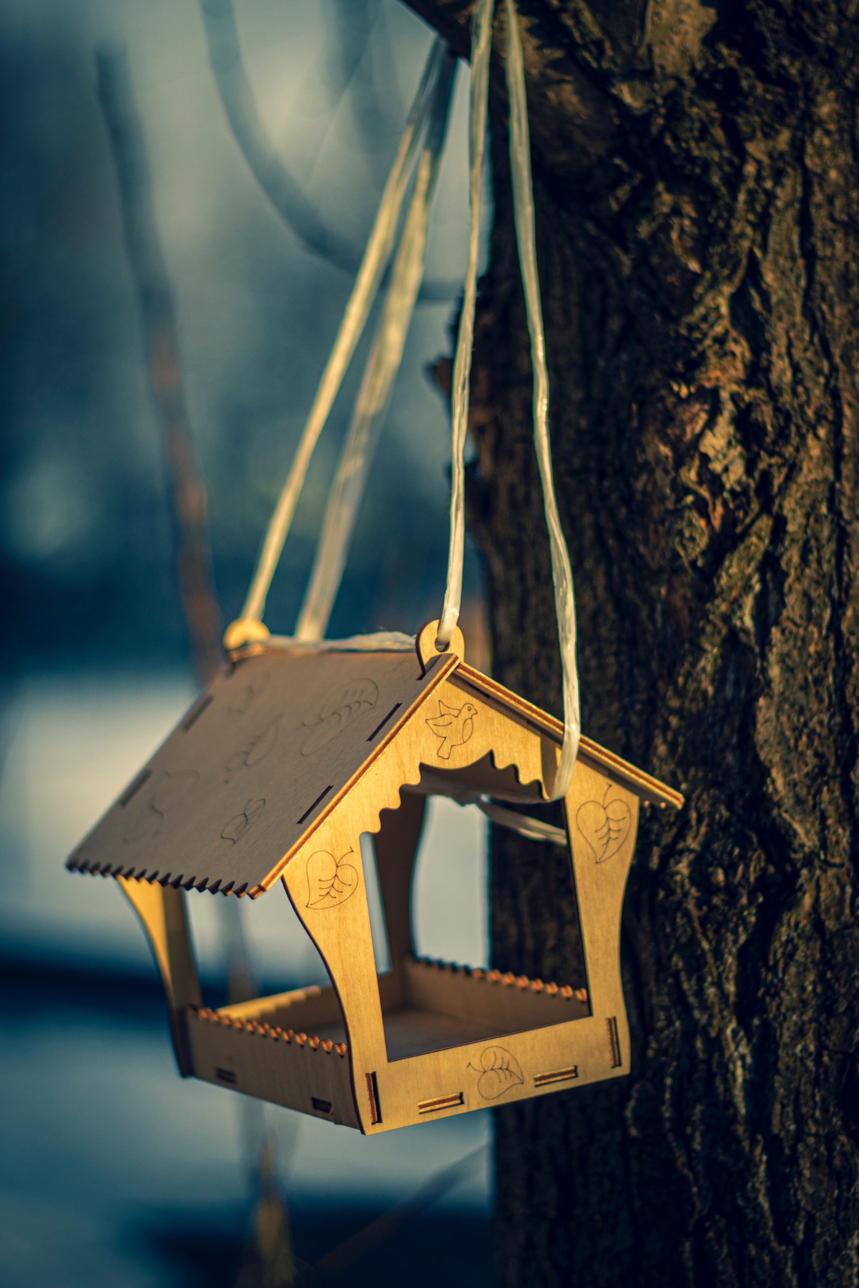 Hanging birdhouse